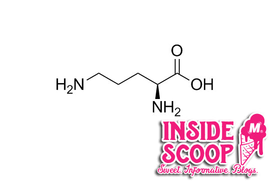 L-ORNITHINE