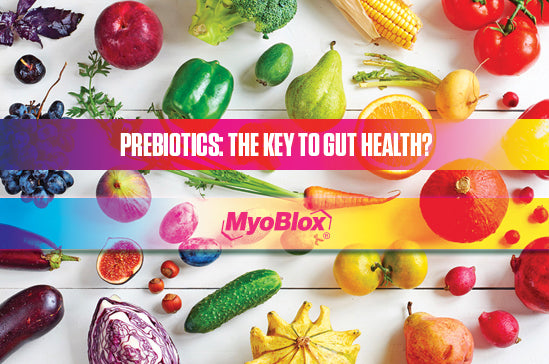 PREBIOTICS & GUT HEALTH