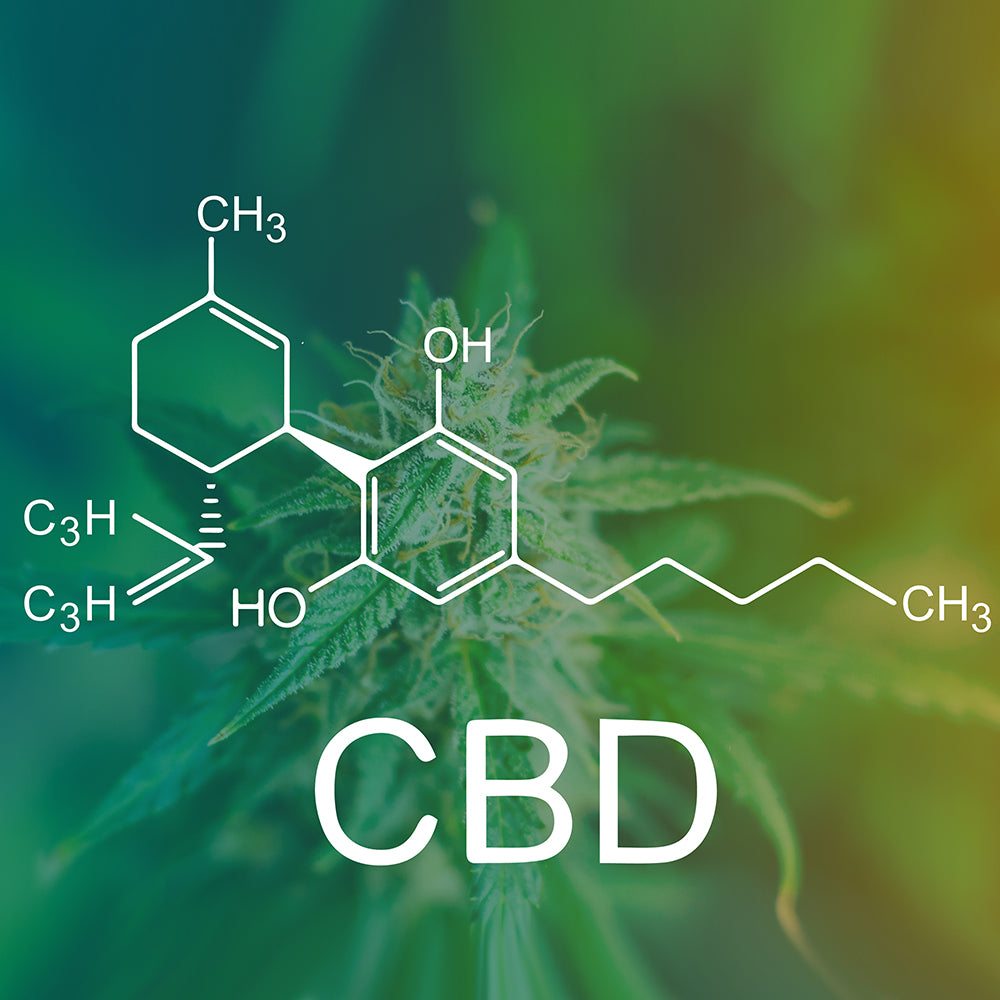 CBD: The Next Big Thing In Fitness